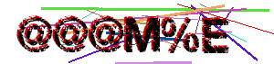 Human verification code (Captcha)